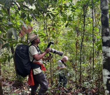 Bohorok Other | See Orangutan Sumatra
