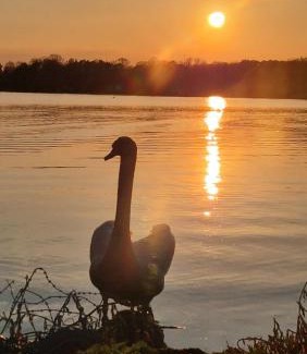 Zernsdorf Boat Rental | Seeblick Hausboot Sambesi