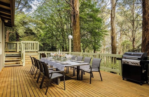 Sassafras Cabin | Seednest Treehouse | Forest & Mountain View