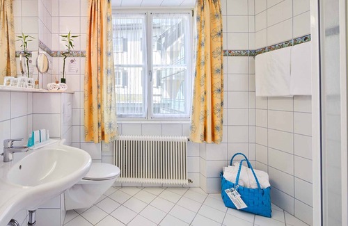 Millstatt Hotel | Seeglück Hotel Forelle Superior