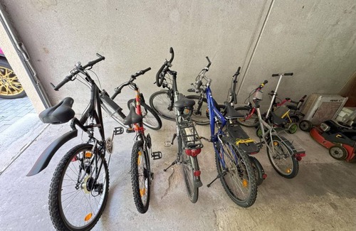 Ludwigswinkel House | Seehaus Luwi Royal - vacation home, shower and bath, WC, 3 bedrooms