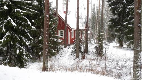 Luvia House | Seilorin Lomakylä