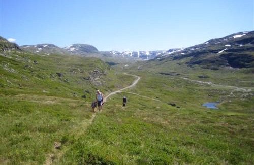 Roldal Cabin | Seim Camping - Røldal