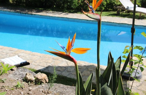 Couto de Esteves Cottage | Self catering Quinta do Gigante - Ecofarm for 5 people