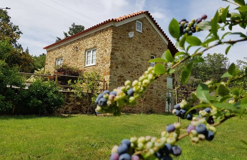 Sever do Vouga Cottage | Self catering Quinta do Sobreiral for 4 people