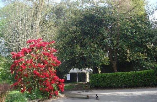 Saint Breward House | Self Contained Detatched Bungalow in North Cornwall