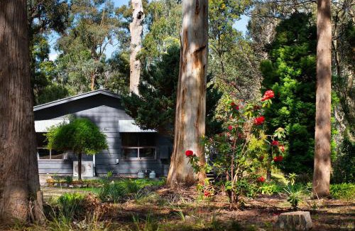 Wheatsheaf House | Selo Retreat- escape to this forest retreat