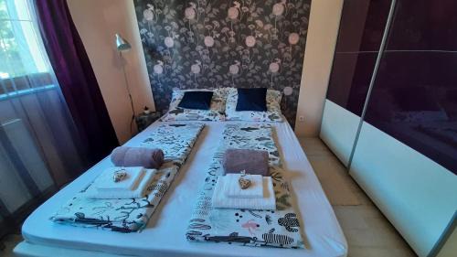 Zalakaros Apartment | Selyemakàc apartman