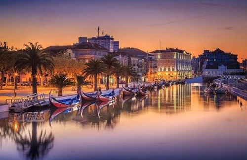 Aveiro Apartment | Senhor dos Aflitos 4