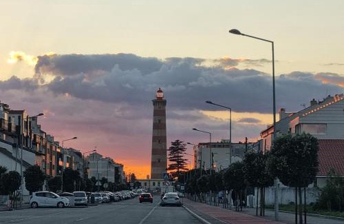 Aveiro Apartment | Senhor dos Aflitos 4