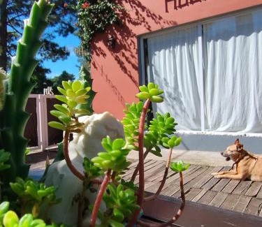 Valeria del Mar House | Sentir Indiano