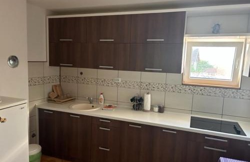 Soko Banja Apartment | Seosko domacinstvo Vujic Sokobanja Resnik