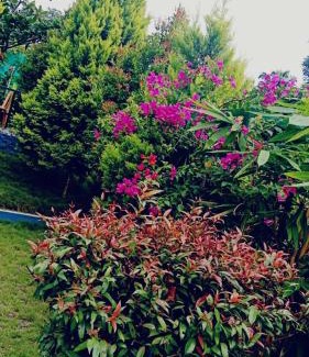Shenkottai Hotel | Serene Blossom Valley
