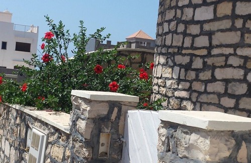 Ras Kebdana Apartment | Set of 3 Apartments - Villa on 3 floors