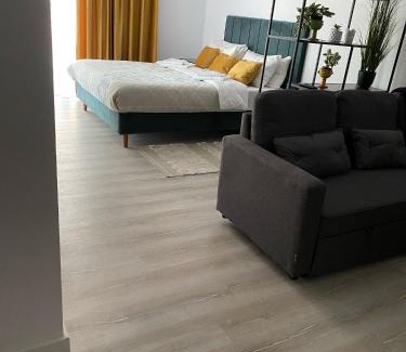 Baia Mare Apartment | Sfara Residence Apartament 3
