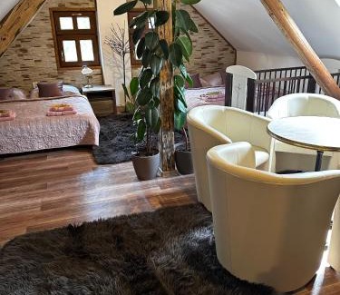 Nova Paka House | SG chalupa ŠTIKOV - Podkrkonoší - s celoročním privátním wellness