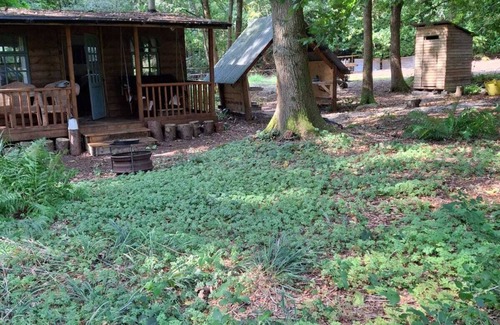 Redditch Cabin | Shack in The Woods - Off Grid