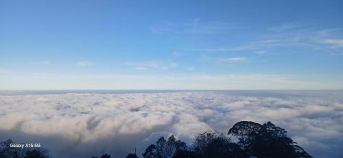 Vattakanal House | Shalom HomeStay