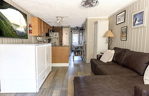 Snowshoe House | Shamrock 21A: Winter Escape for You & Your Dog with Fireplace & EV