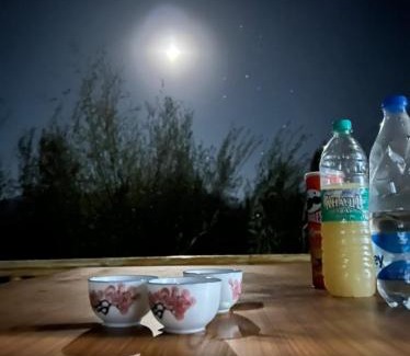 She Apartment | Shashi Guesthouse