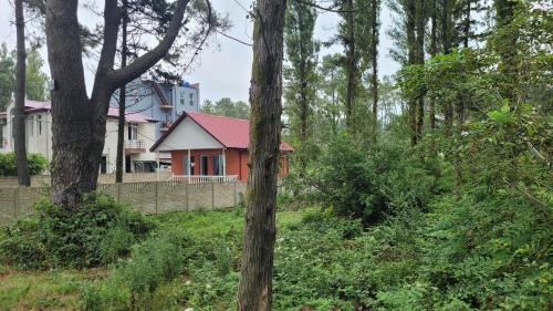 Shekhvetili House | Shekvetili Sun