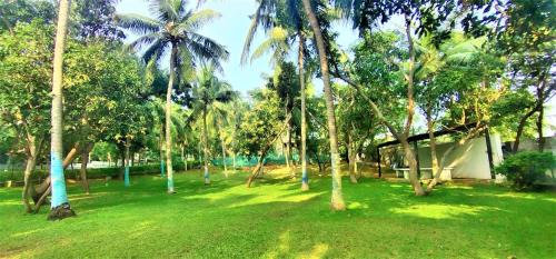 Covelong Beach Resort | Shelter Beach Resort