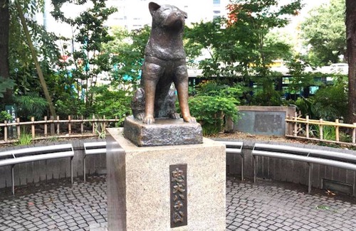 Higashi Apartment | Shibuya Station Charming Place 8min walk 3ppl B103 - B103/Shibuya-ku Tokyo