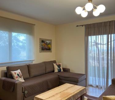 Argos-Mykines Apartment | 'Shinohori' Olive-Tree Apartment