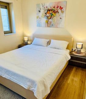 Dumbravita Apartment | SHoliday La Parter cu Parcare Privată și Spațiu Modern