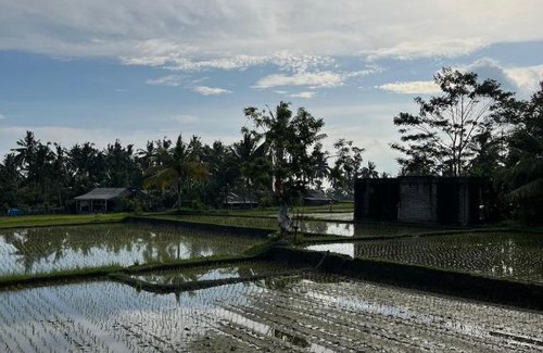 Tampaksiring Villa | Shri Wedari Private Pool with Ricefield View