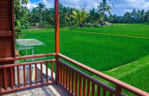 Tampaksiring Villa | Shri Wedari Private Pool with Ricefield View