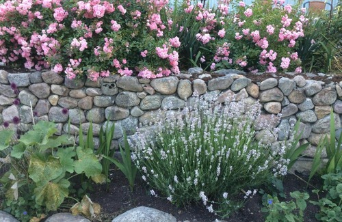 Nasum Bed & Breakfast | Sibbarp