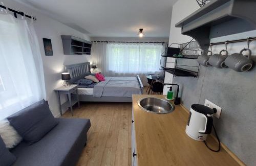 Wisla House | Sielankowo
