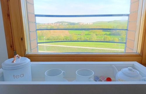 Siena Apartment | Siena - Apartment with splendid terrace