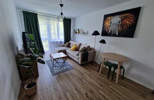 Rzeszow Apartment | Sienkiewicza apartament MULTI HOUSE