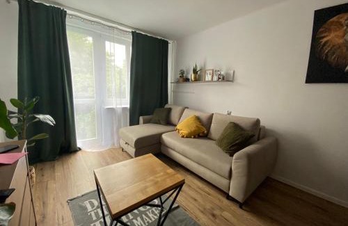 Rzeszow Apartment | Sienkiewicza apartament MULTI HOUSE