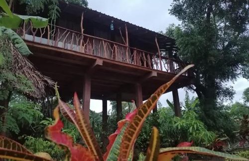 Sigiriya Cabin | Sigiriya Rock View Tree house