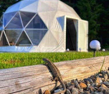 Rabe Other | Silence Glamp - Glamping Bieszczady