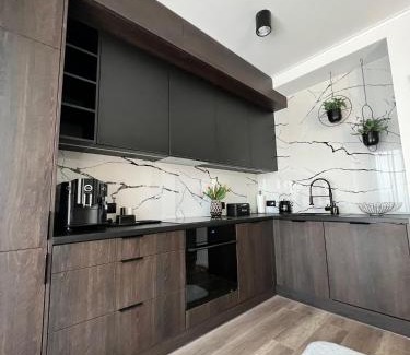 Skoczow Apartment | Silesia Apartments Ustron H125
