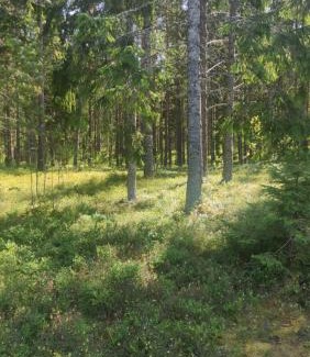 Vaisi Ski Chalet | Sillaotsa Puhkemaja