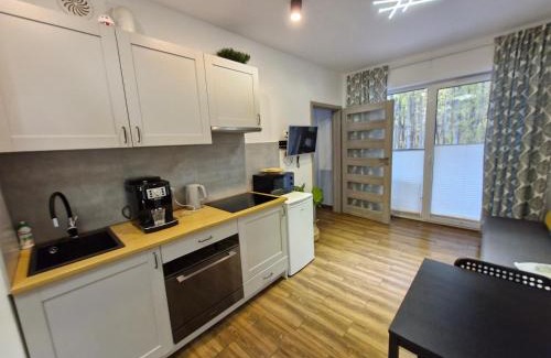 Wyspa Sobieszewska Apartment | Silva Całoroczny Apartament na Wyspie Sobieszewskiej
