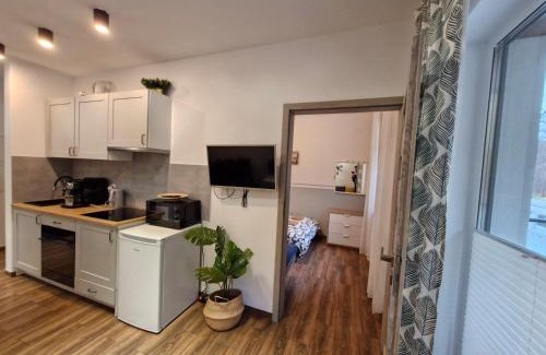 Wyspa Sobieszewska Apartment | Silva Całoroczny Apartament na Wyspie Sobieszewskiej