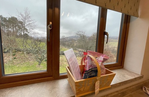 Blairgowrie Cottage | Silver Birch Treehouse - a treehouse that sleeps 2 guests in 0 bedrooms