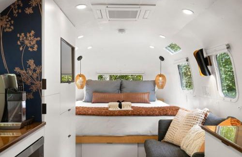Pisgah Forest Villa | Silver Fern