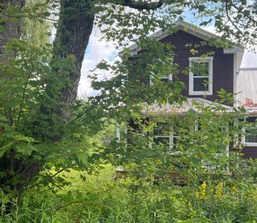 Austin Bed & Breakfast | Simple de nature