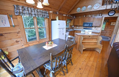 Williamstown House | Simpler Times- Mineral Bluff GA 2br/2ba-Hot Tub- Wifi-Firepit