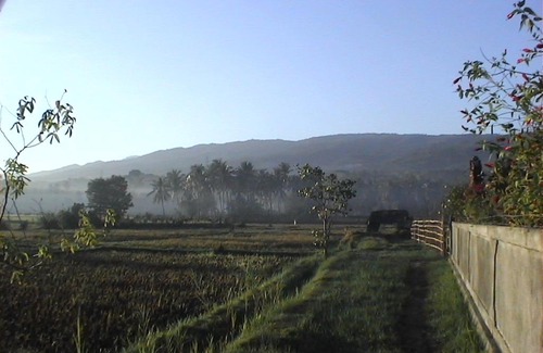 Kaliasem Bed & Breakfast | Singko Lovina