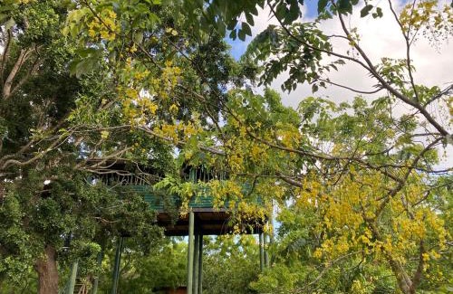 Palatupana Cabin | Single Trees Yala