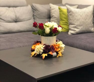Sinsheim Apartment | Sinsheim Unterkunft