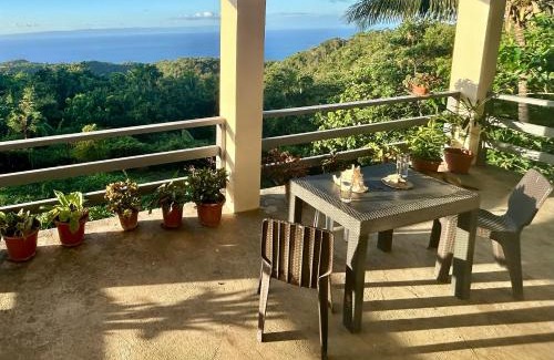 Siquijor Villa | Siquijor Wejman Mountain Sanctuary